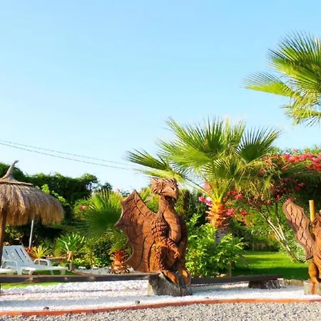 Vacation Albatros & Glamping Spain