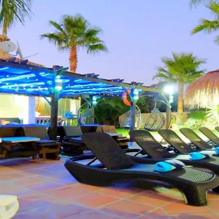 Apartment Vacation Albatros & Glamping Spain