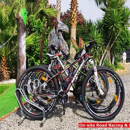 Vacation Albatros & Glamping Spain * Malaga