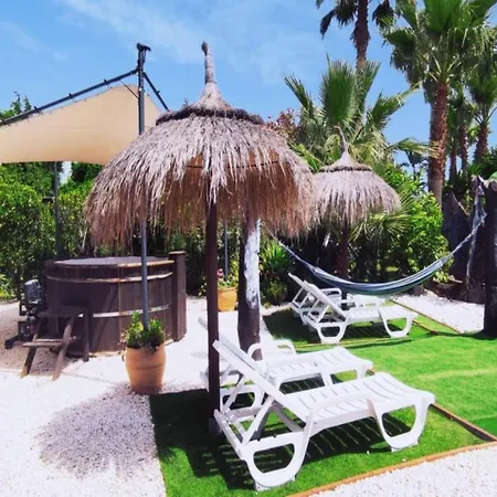 Vacation Albatros & Glamping Spain *