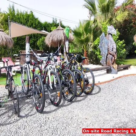 Vacation Albatros & Glamping Spain *