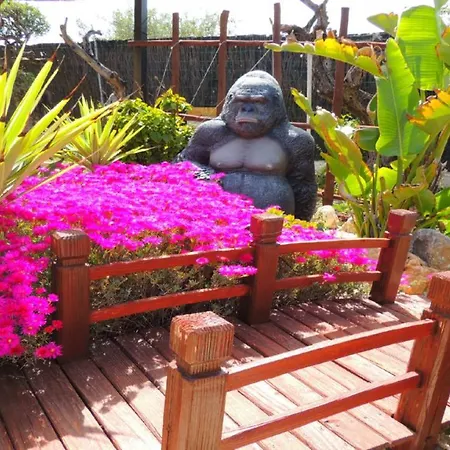 Vacation Albatros & Glamping Spain Apartment *